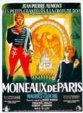 Moineaux De Paris