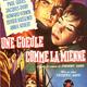 photo du film Une gueule comme la mienne
