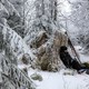 photo du film La Vallée des loups