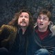 photo du film Harry Potter et l'Ordre du Phénix