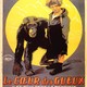 photo du film Le Coeur des gueux