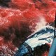 photo du film Vive la baleine