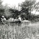 photo du film Une fille sur la route