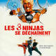 photo du film Les Trois ninjas se dechainent