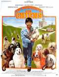 Au Bonheur Des Chiens