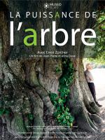 La Puissance De L’arbre