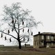 photo du film Eleni, la terre qui pleure