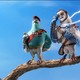 photo du film Vaillant pigeon de combat !