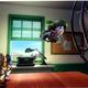 photo du film Vaillant pigeon de combat !