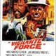 photo du film Vigilante Force