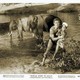photo du film Tarzan Aux Indes