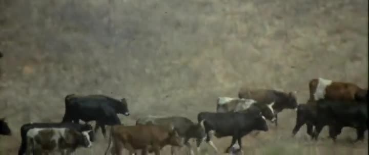 Extrait vidéo du film  The Two Jakes