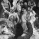 photo du film Tarass Boulba