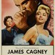 photo du film L'Homme aux mille visages