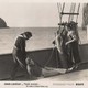 photo du film Le Harpon rouge