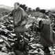 photo du film La Cité de l'indicible peur