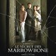photo du film Le Secret des Marrowbone