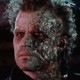 photo du film Flic Ou Zombie