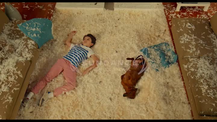 Extrait vidéo du film  Le Teckel