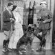 photo du film La Maison Du Bourreau