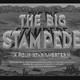 photo du film La grande panique