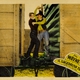 photo du film Justice pour un innocent