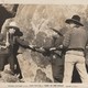 photo du film King Of The Pecos