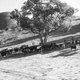 photo du film Red River Range