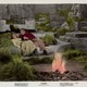 photo du film Taïkoun