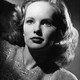 photo du film La Rose Du Crime