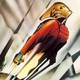 photo du film Rocketeer