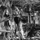photo du film Tarzan Et La Femme Leopard