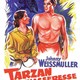 photo du film Tarzan Et La Chasseresse