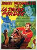 voir la fiche complète du film : La Tribu Perdue
