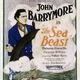 photo du film Jim Le Harponneur