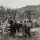 photo du film The Vanishing Pioneer