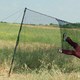 photo du film Les Mille et une nuits - volume 3 : l'enchanté
