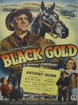 voir la fiche complète du film : Le gagnant du Kentucky