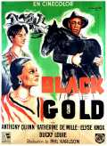 voir la fiche complète du film : Black Gold