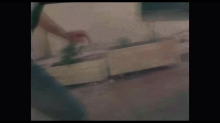 Extrait vidéo du film  Red Rose