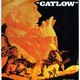 photo du film Catlow