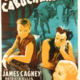 photo du film Le Cabochard