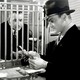 photo du film Les Hors-la-loi