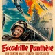 photo du film L'escadrille Panthère