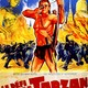 photo du film Le Défi De Tarzan
