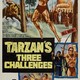 photo du film Le Défi De Tarzan