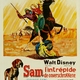 photo du film Sam L'intrépide