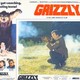 photo du film Grizzly, le monstre de la forêt