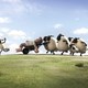 photo du film Shaun le mouton - le film