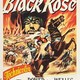 photo du film La Rose Noire